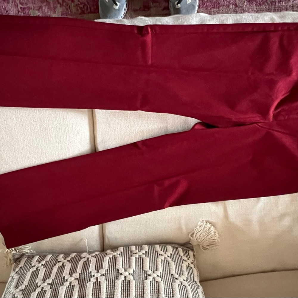 The Limited Deep Red Pants size 6